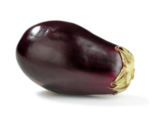 Fresh Purple Eggplant
